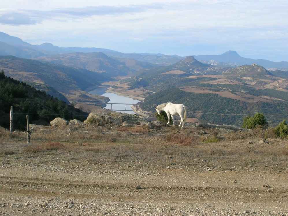 barrage de caramany