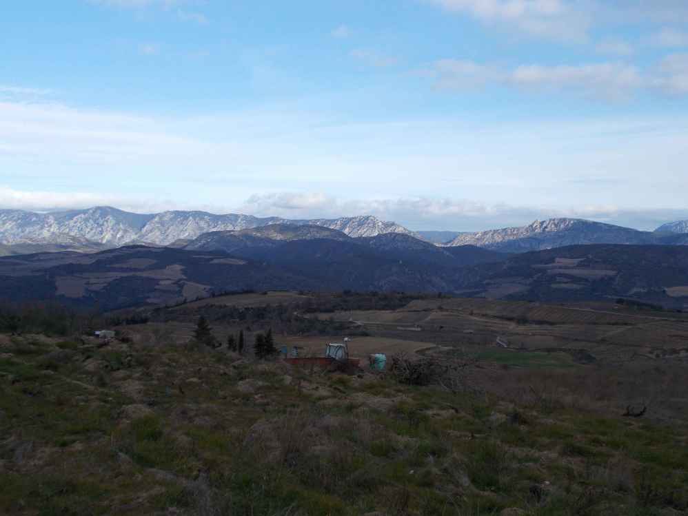 Fenouillèdes.jpg
