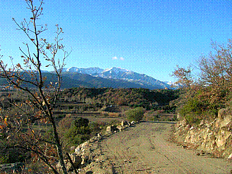 mont Canigou.jpg