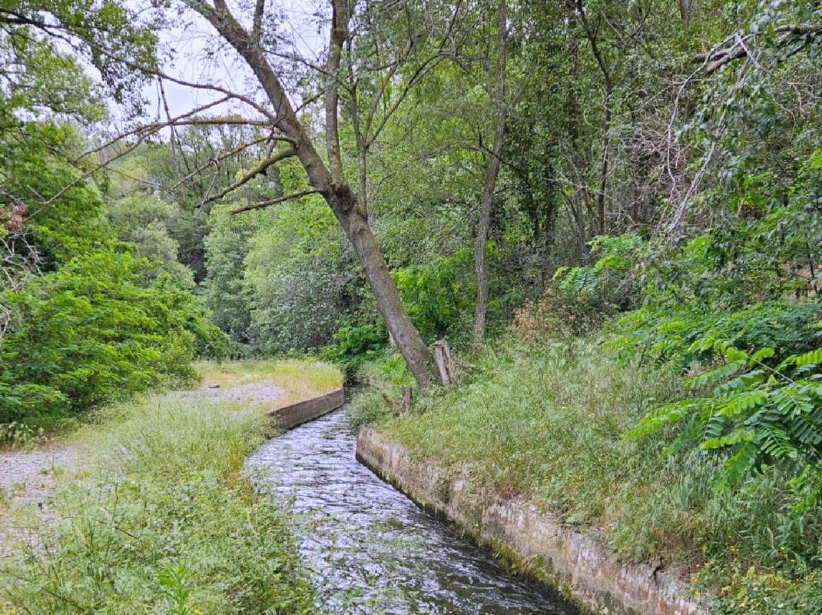 canal de la Guillera.jpg