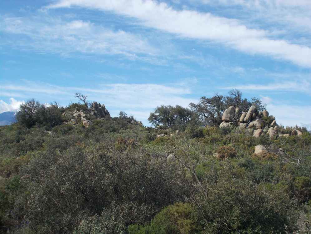 fenouilledes la bernouse