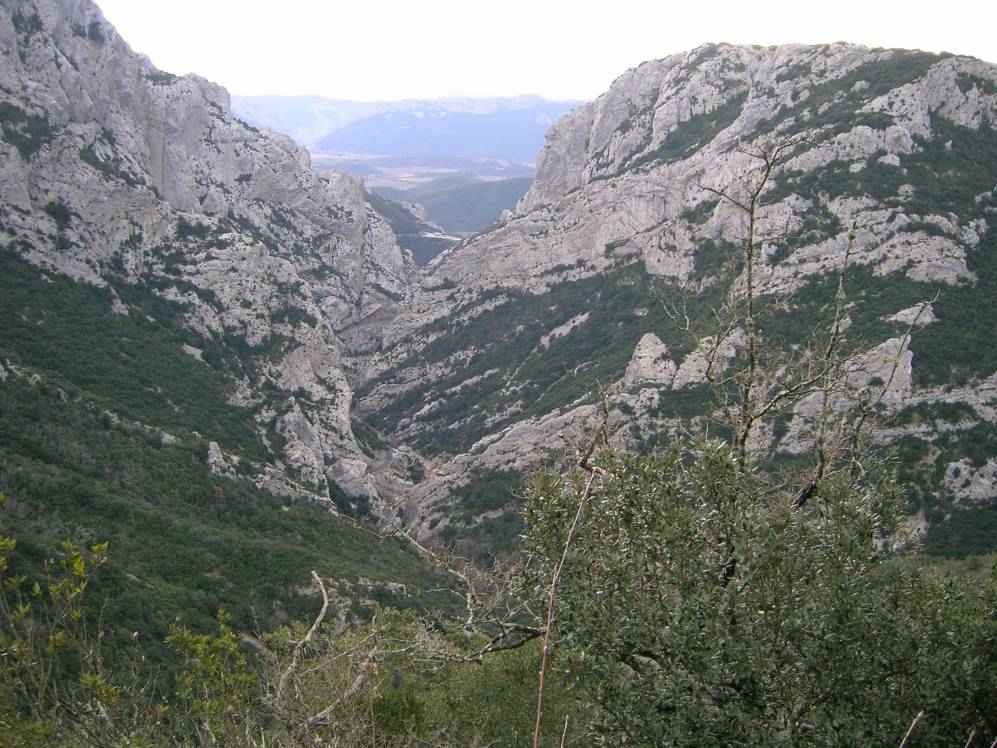 gorges de Galamus