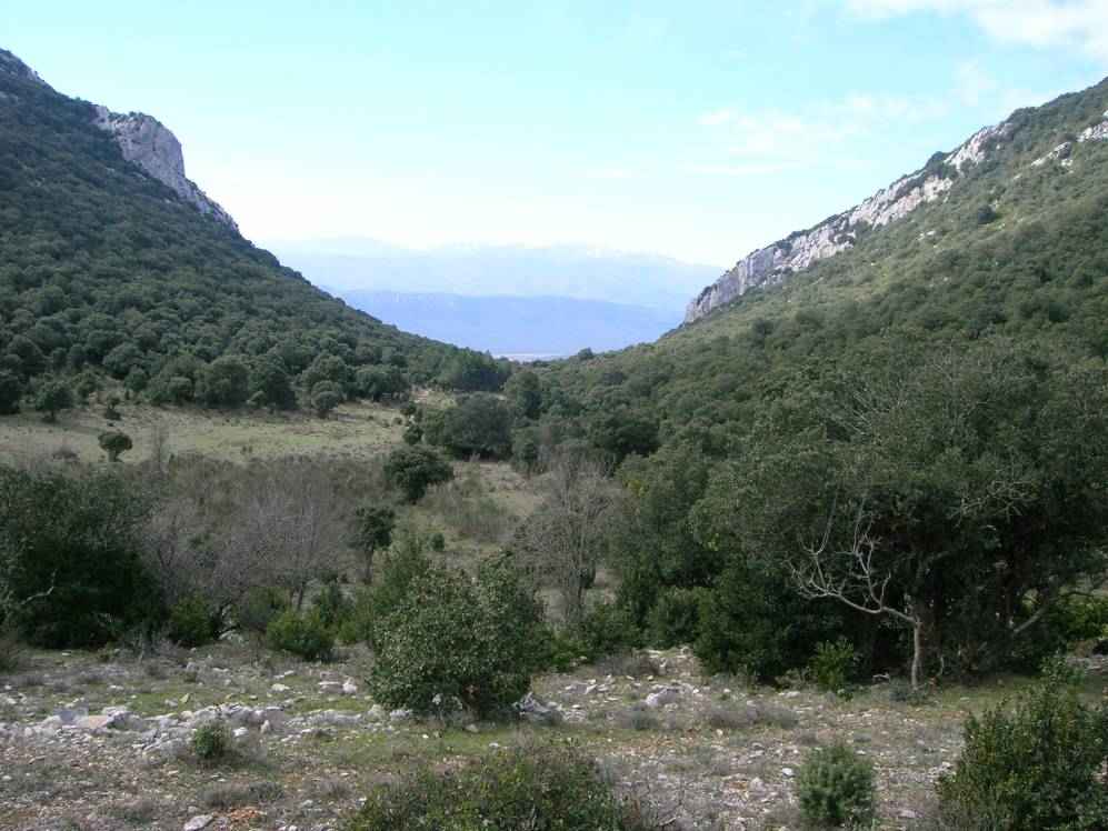 pla de Brezou
