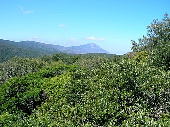 bugarach.jpg