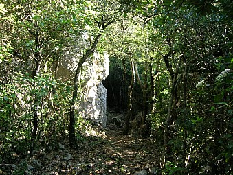 ruisseau de la coume de tiols.jpg