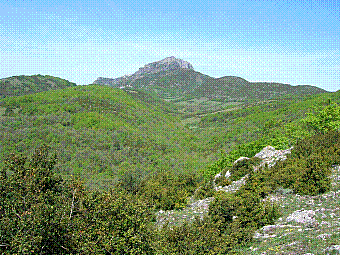 Bugarach.jpg