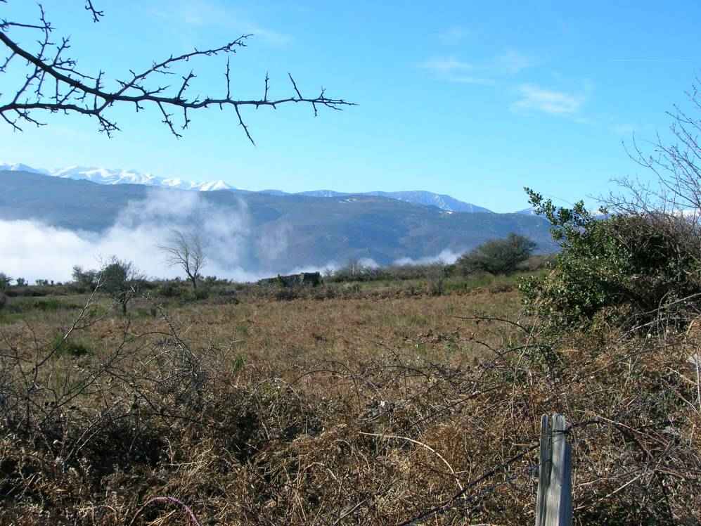 pic Canigou