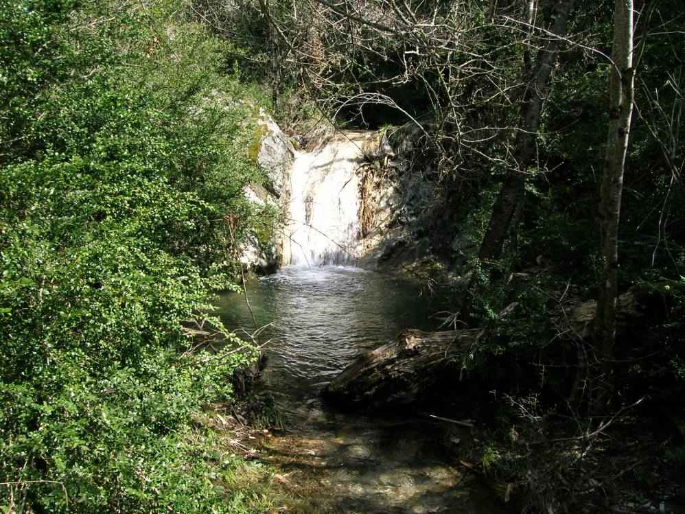 cascade