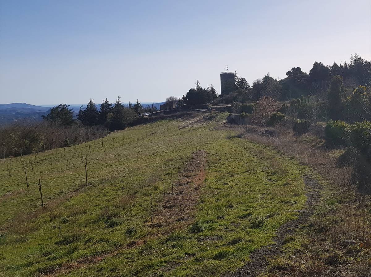 Prats de Sournia.jpg