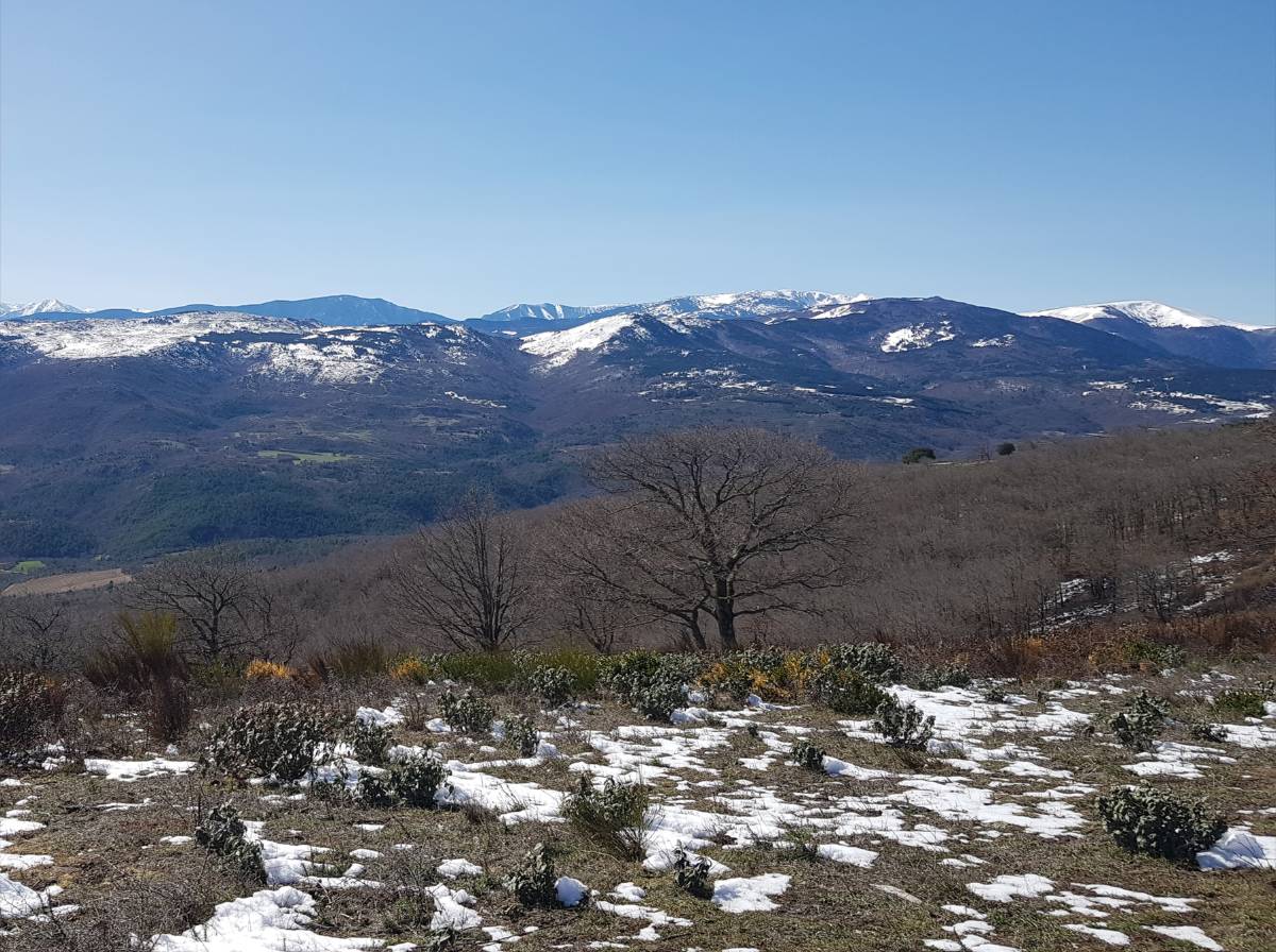 massif du canigou