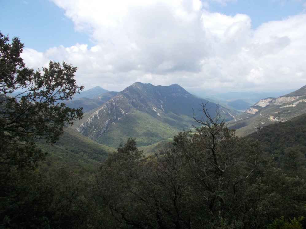 serra de bestraca