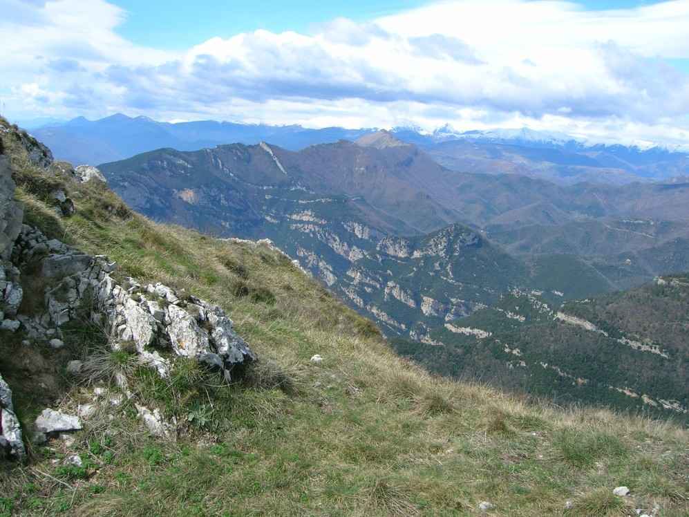 Garrotxes