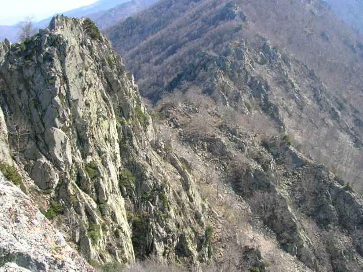 roc jocavell