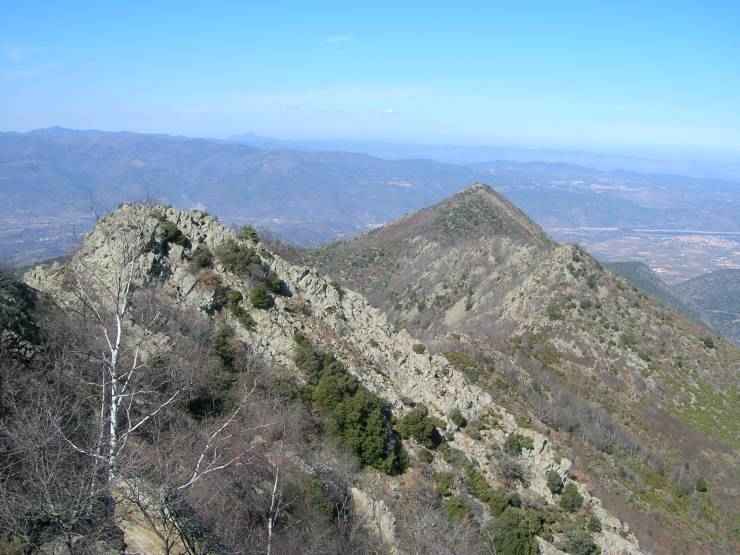 roc jocavell