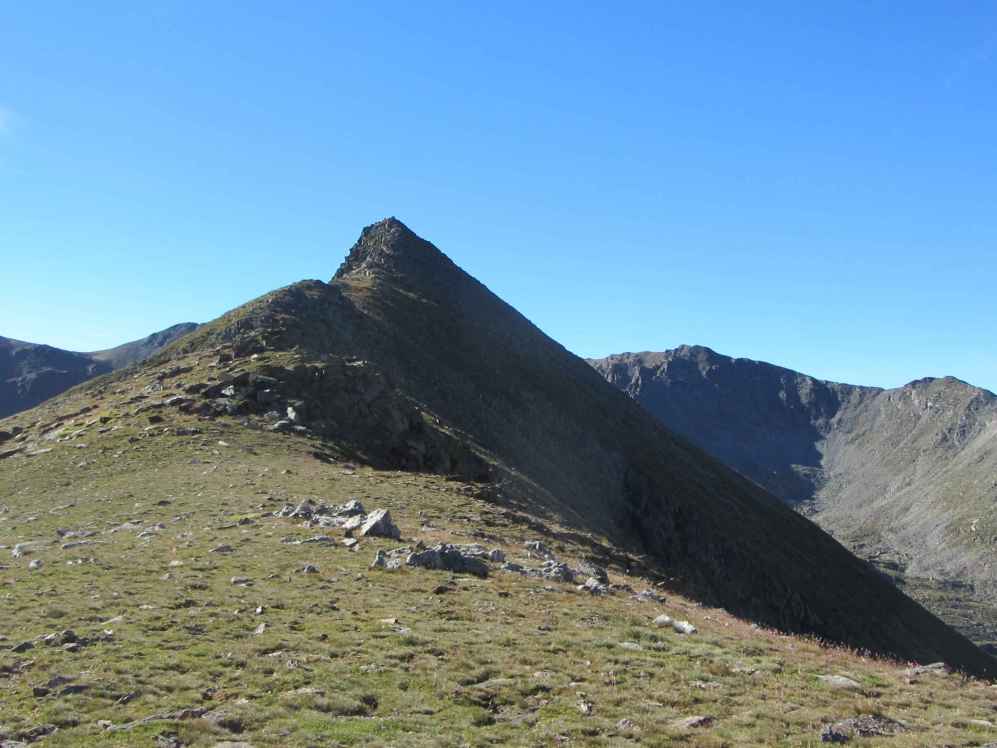puig sec