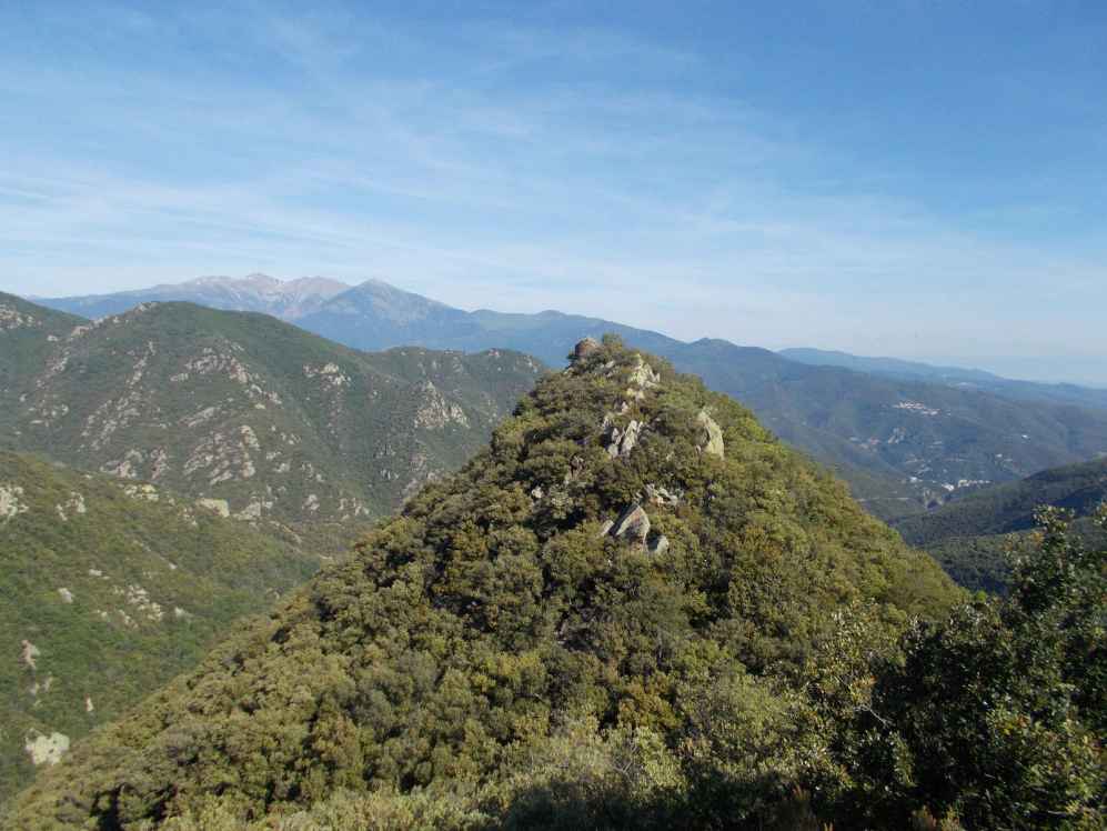 pla del roc et massif du canigou