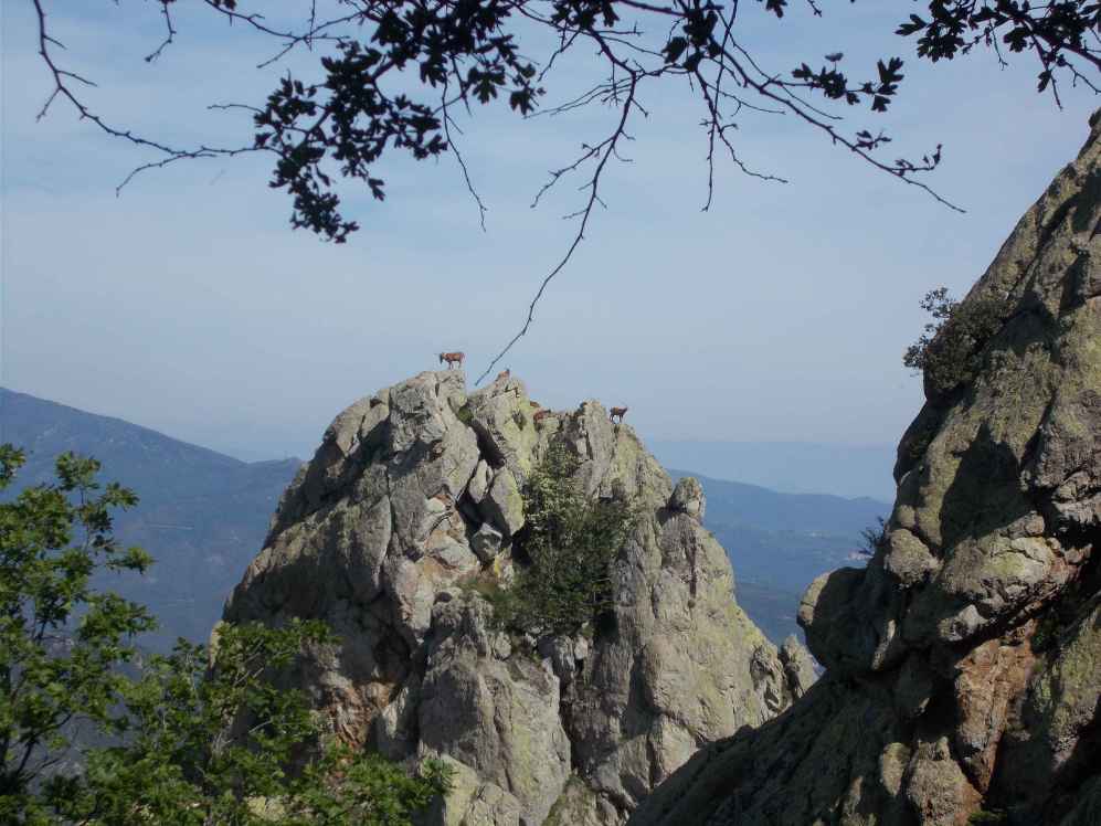 roc sant salvador
