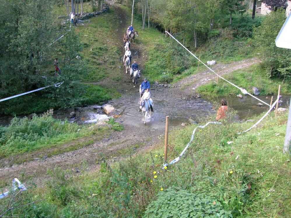 arrive des chevaux