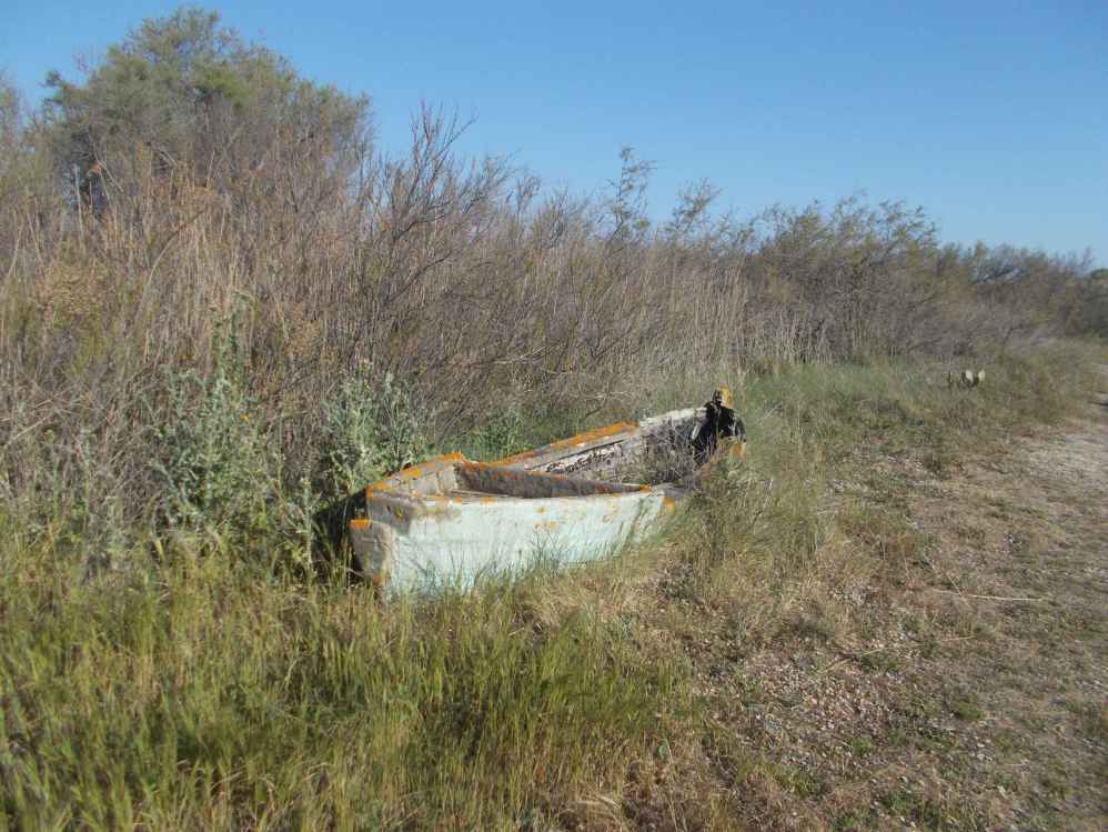 barque.jpg