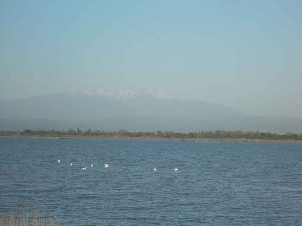 etang de Canet et Mont Canigou