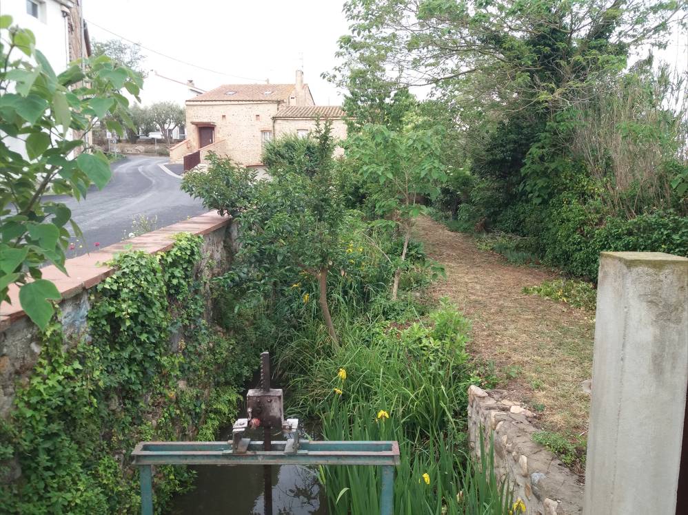 moulin de canet.jpg