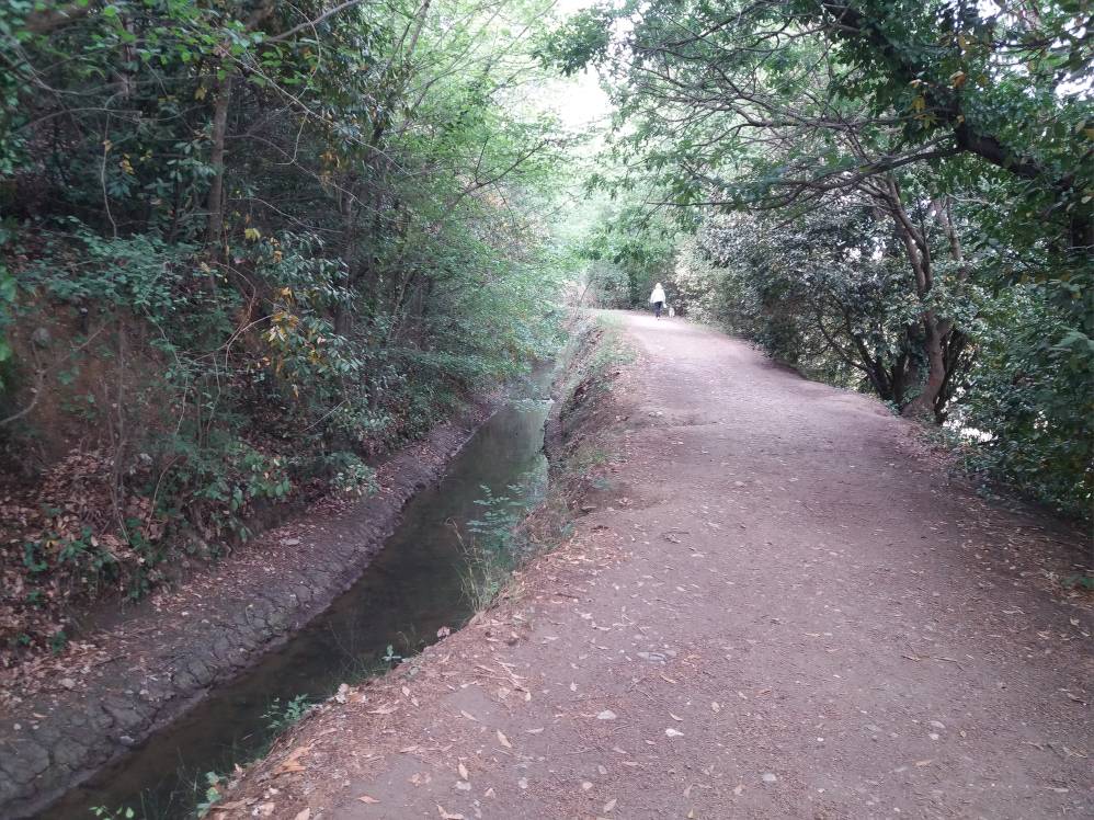 canal du moulin de canet.jpg