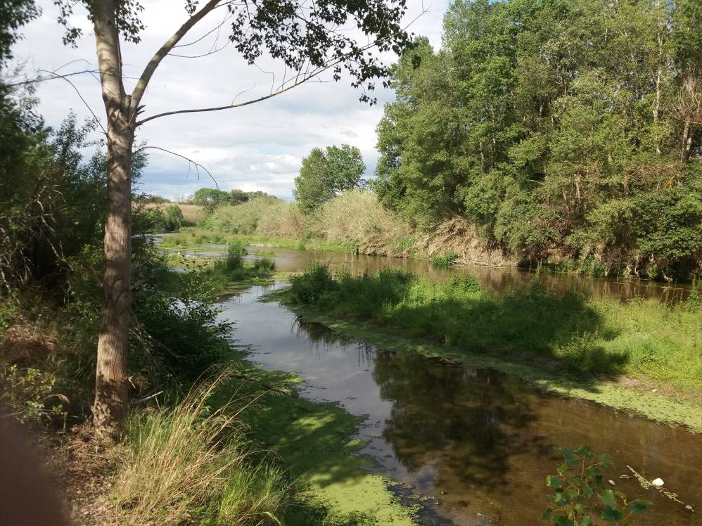 fleuve têt à perpignan