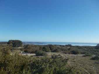 tang de Salses-Leucate.jpg