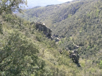 puig belmach.jpg