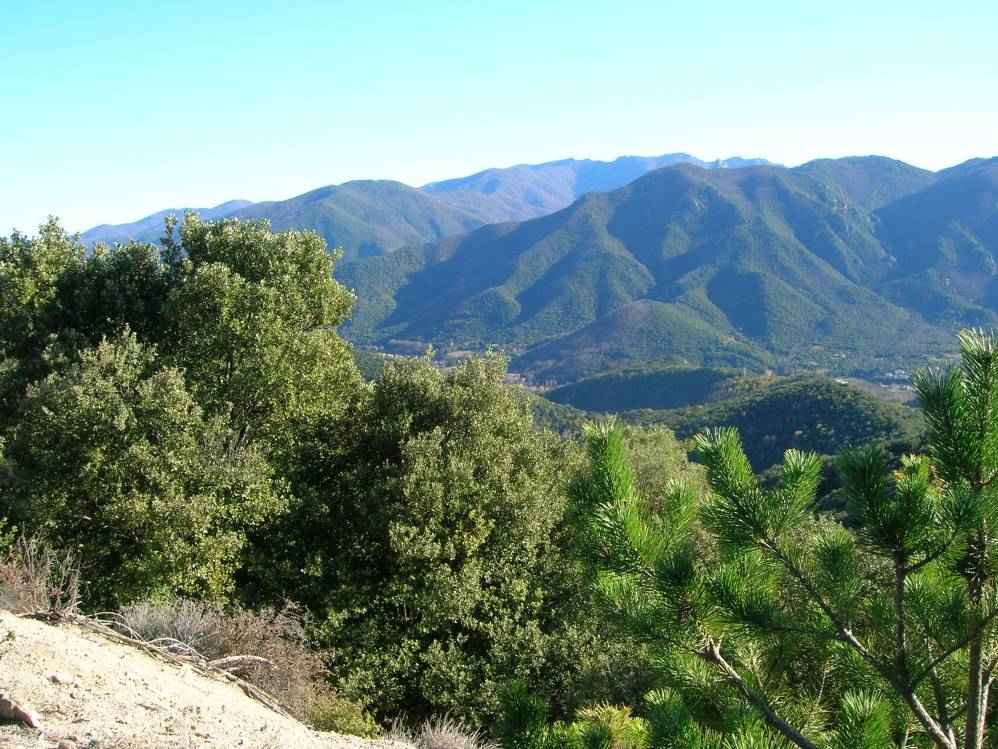Roc de Frausa
