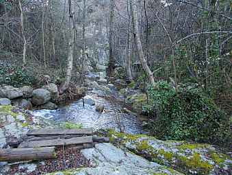 correc de la Senyorale