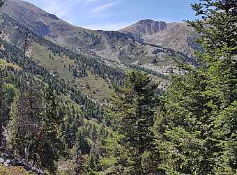 font des Coscolls