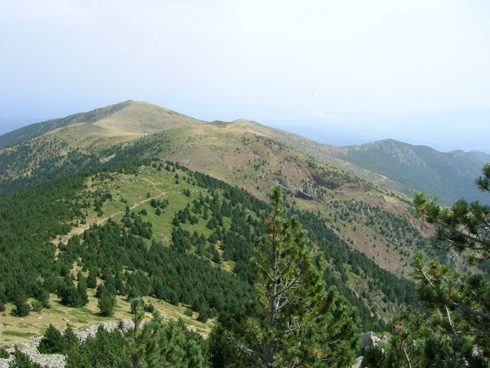 puig St Pierre