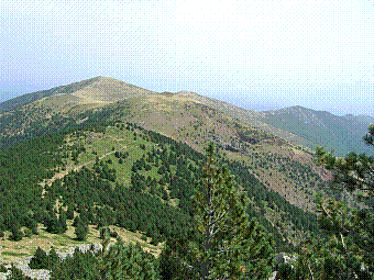 puig St ierre.jpg
