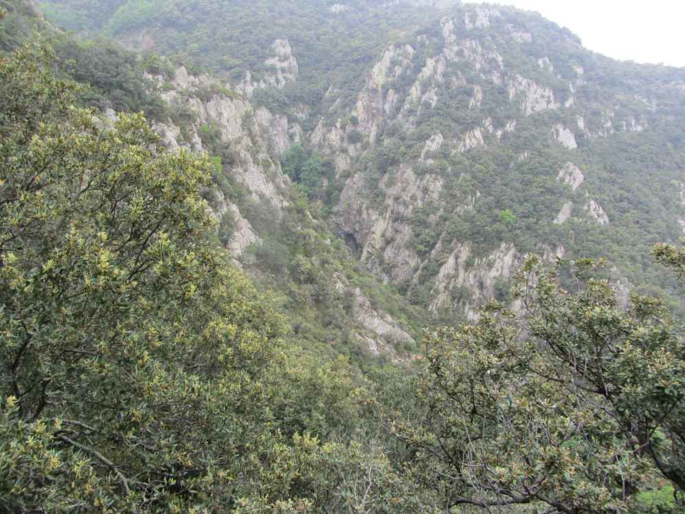 ribera de cal sant