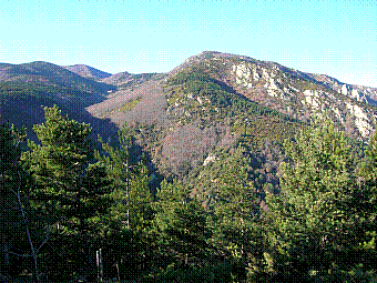 les Salines.jpg
