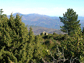 massif du Canigou.jpg