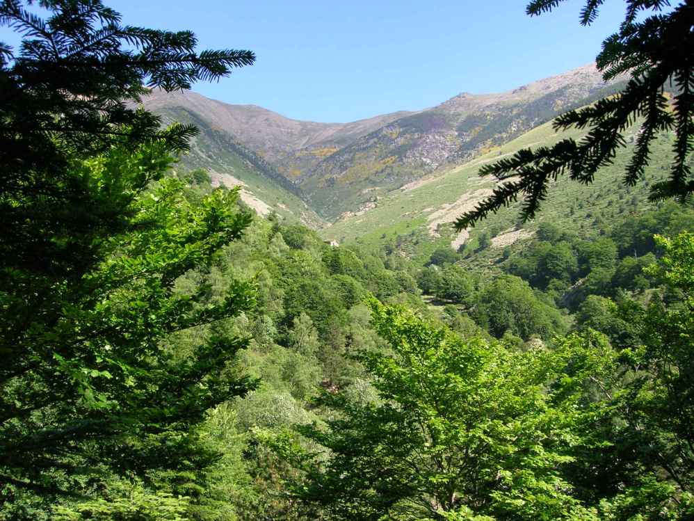 vallee du Riuferrer