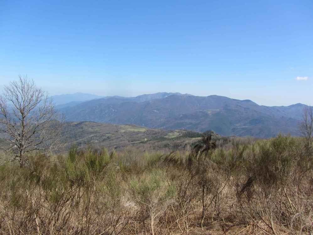haut vallespir