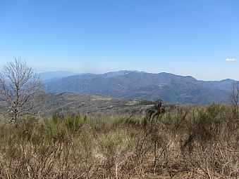 haut vallespir.jpg