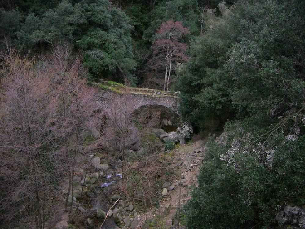 pont roman de Montalba
