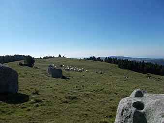 pla de les Eugues