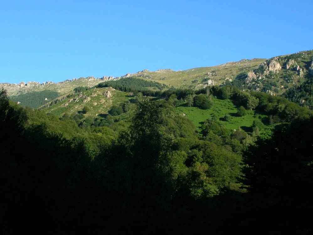 esquerdes de Rotja