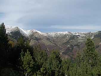 Pla Guillem