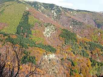 bassin de la Parcigoule