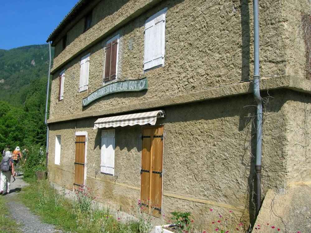 maison forestire can Got