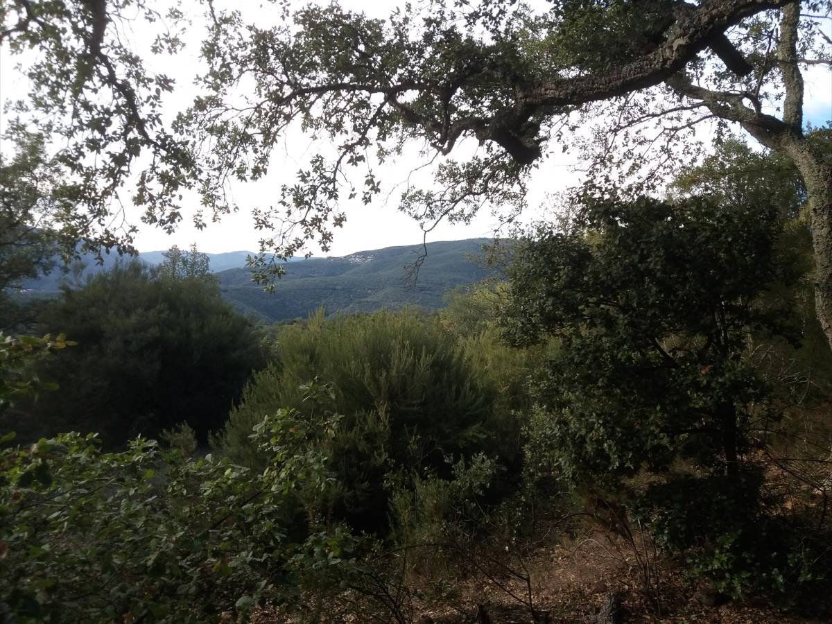 photo01.jpg
