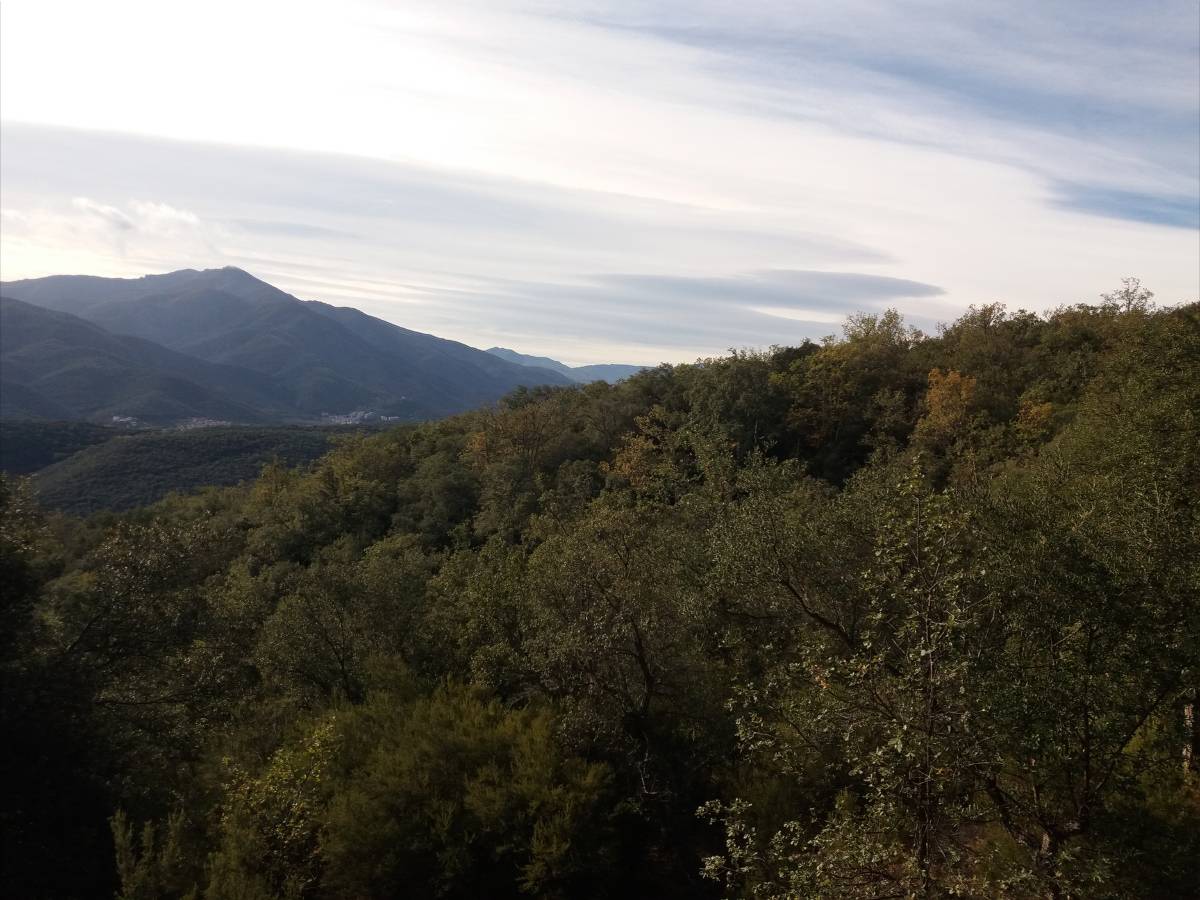 photo03.jpg