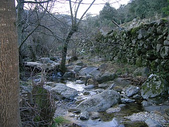 torrent de Riunogues.jpg
