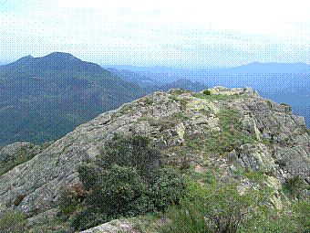 vue du Falco.jpg